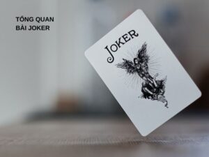 Tổng quan bài Joker